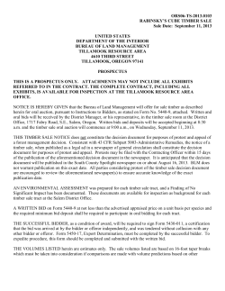 Rabinskys Cube Timber Sale Prospectus [2013-09-11]