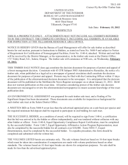 Cruiser Fly Prospectus