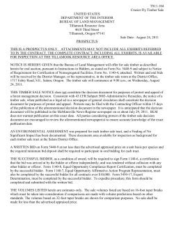 Cruiser Fly Prospectus