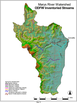 Stream reaches where ODFW aquatic habitat surveys have been performed