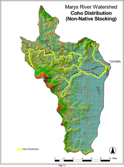 Distribution of stocked runs of coho salmon