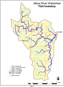Upper extent of fish distribution and stream size classifications