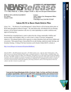 Salem, Ore. -- The Bureau of Land Management's Salem District will be burning debris piles on BLM lands throughout northwest Oregon. The slash debris piles, left behind from tree thinning projects, will be burned sometime in the next six weeks depending on weather conditions and approved burning days.