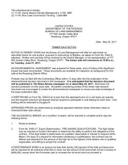 Clever Beaver DM and Rice Cake CT