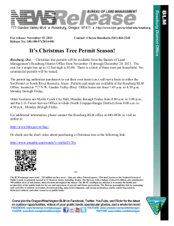 Roseburg, Ore. - Christmas tree permits will be available from the Bureau of Land Management's Roseburg District Office from November 18 through December 24, 2013. The cost for a single tree up to 12 feet high is $5.00. There is a limit of three trees per household. No commercial permits will be issued.