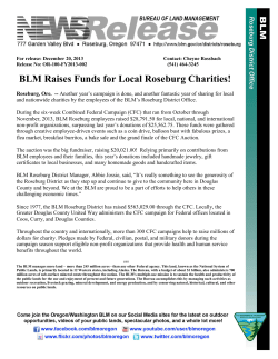 Roseburg, Ore. - Another year's campaign is done, and another fantastic year of sharing for local and nationwide charities by the employees of the BLM's Roseburg District Office. During the six-week Combined Federal Campaign (CFC) that ran from October through November, 2013, BLM Roseburg employees raised $28,791.50 for local, national, and international non-profit organizations, surpassing last year's donations of $25,562.75. These funds were gathered through creative employee-driven events such as a coin drive, balloon bust with fabulous prizes, a flea market, breakfast burritos, a bake sale and the grand finale of the CFC Auction.
