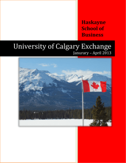 Alyce Michell's Student Experience Report