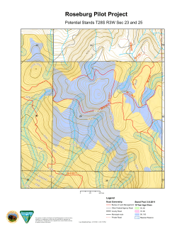 Potential Stands T28S R3W Sec 23 and 25 - Planning
