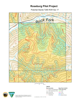 Potential Stands T28S R3W Sec 17 - Planning