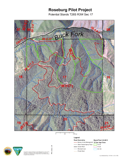 Potential Stands T28S R3W Sec 17 - Photo