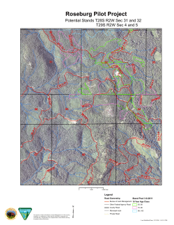 Potential Stands T28S R2W Sec 31 and 32T29S R2W Sec 4 and 5 - Photo