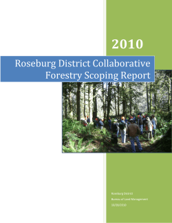 Example Public Comments - 2010 Collaborative Forestry Scoping Report