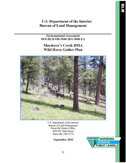 20120927_EA_accessible.pdf