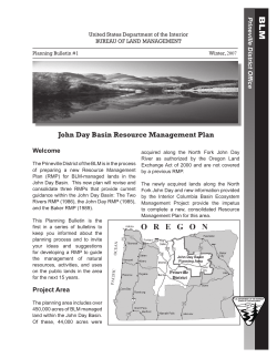 Planning Bulletin #1
