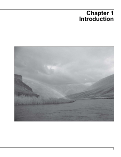 Chapter 1 (Planning Criteria and Issues)