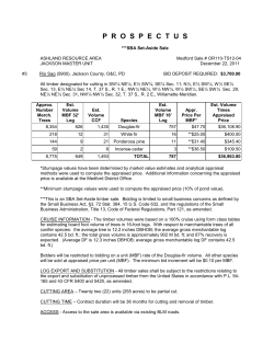 Full Prospectus Rio Sag Timber Sale