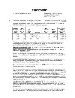Full Prospectus McGindy Thin