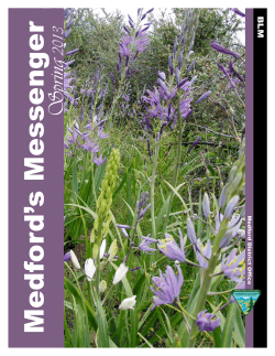 Medford's Messenger - Spring 2013