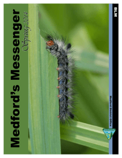 Medford's Messenger - Spring 2014