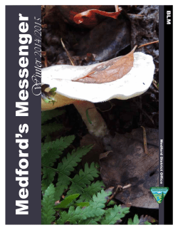 Medford's Messenger - Winter 2014/2015