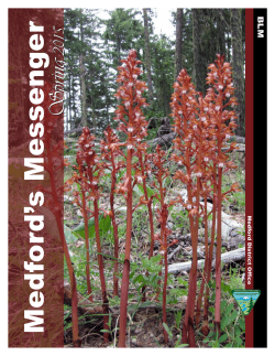 Medford's Messenger - Spring 2015