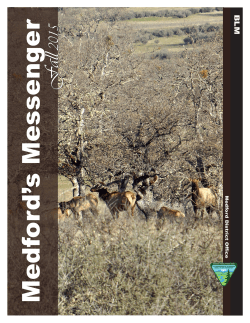 Medford's Messenger - Fall 2015