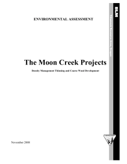 Moon Creek Projects