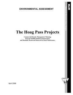 Hoag Pass Projects