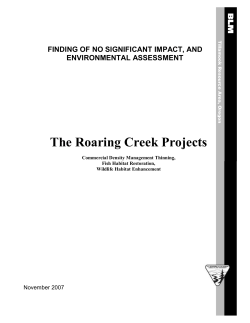 Roaring Creek Projects