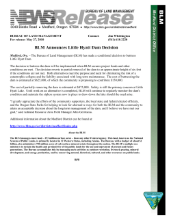 The Bureau of Land Management (BLM) has made a conditional decision to buttress Little Hyatt Dam.