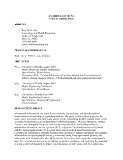 Curriculum Vitae