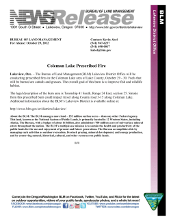 The Bureau of Land Management (BLM) Lakeview District Office will be conducting prescribed fires in the Coleman Lake area of Lake County, October 29-30. Fuels that will be burned are cattails and grasses. The overall goal of this burn is to improve fish and wildlife habitat.