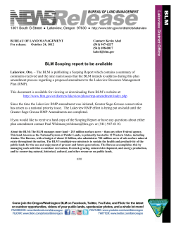 The BLM is publishing a Scoping Report which contains a summary of comments received and the nine main issues that the BLM intends to address during this plan amendment process regarding a proposed amendment to the Lakeview Resource Management Plan (RMP).