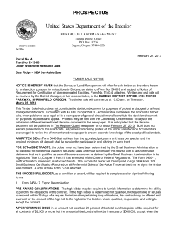 Prospectus Bear Ridge