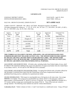 Edson Plum CT Prospectus, Exhibits and Summary