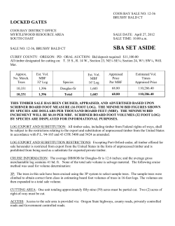 Brushy Bald CT Prospectus, Exhibits, Summary