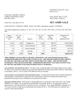 Blue 25 CT Prospectus, Exhibits, Summary