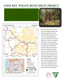 Pilot Project Overview Handout