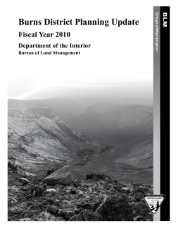 Planning Update 2010