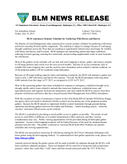 The Bureau of Land Management today announced its current summer schedule for gathering wild horses and burros roaming Western public rangelands. The schedule is subject to change because of continuing drought conditions across the West that are resulting in significantly limited water and forage for wildlife, wild horses and burros, and livestock. BLM managers are monitoring animal and range conditions, reducing livestock grazing, enacting fire restrictions, and providing supplemental water in some locations for wild horses.