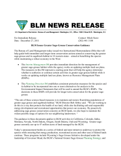 The Bureau of Land Management today issued two Instructional Memorandums (IMs) that will help guide both immediate and longer-term conservation actions aimed at conserving the greater sage-grouse and its sagebrush habitat in 10 western states - aimed at benefitting the species while maintaining a robust economy in the West.