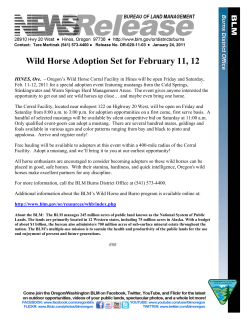 Oregon's Wild Horse Corral Facility in Hines will be open Friday and Saturday, Feb. 11-12, 2011 for a special adoption event featuring mustangs from the Cold Springs, Stinkingwater and Warm Springs Herd Management Areas. The event gives anyone interested the opportunity to get out and see wild horses up close - and maybe even bring one home.