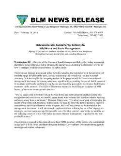 Director of the Bureau of Land Management Bob Abbey today announced that following an extensive public process, the agency is accelerating fundamental reforms to how it manages wild horses and burros on public lands.