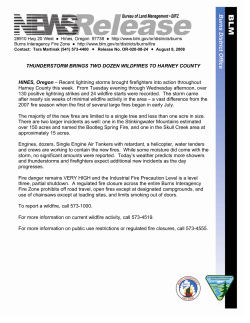Thunderstorm Brings Two Dozen Wildfires to Harney County