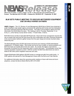 BLM Sets Public Meeting to Discuss Motorized Equipment Use on Wild Horse Gathers 2007