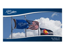 Form of Government presentation