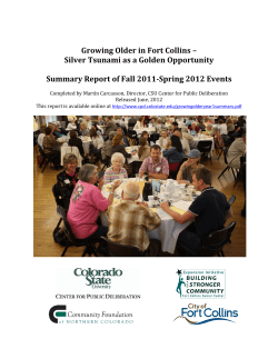 First Year Summary Report