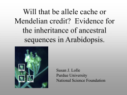 Example of Transformative Research