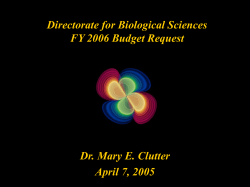 FY 2006 Budget