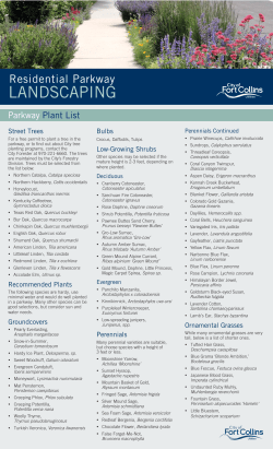 parkway landscaping guidelines
